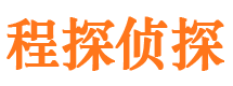 乌什侦探公司